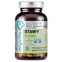 Myvita Silver Pro Complex Stawy 50 kap