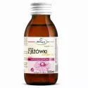 Herbapol Syrop z Jeżówki 100ml