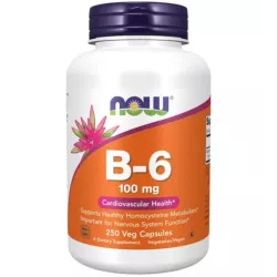Now Foods Witamina B 6 250 kap