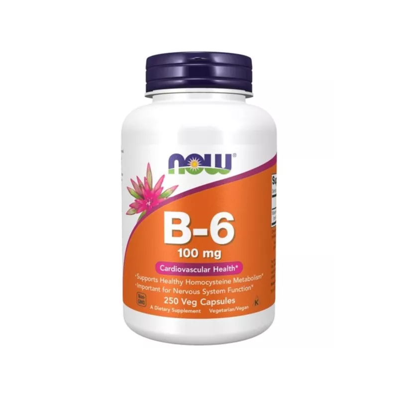 Now Foods Witamina B 6 250 kap