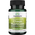 Swanson Full Spectrum Chaga Mushroom 400 g