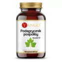 Yango Podagrycznik pospolity 90 k