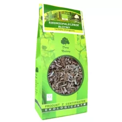 DARY NATURY SIEDMIOPALECZNIK 100G