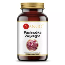 Yango Pachnotka zwyczajna