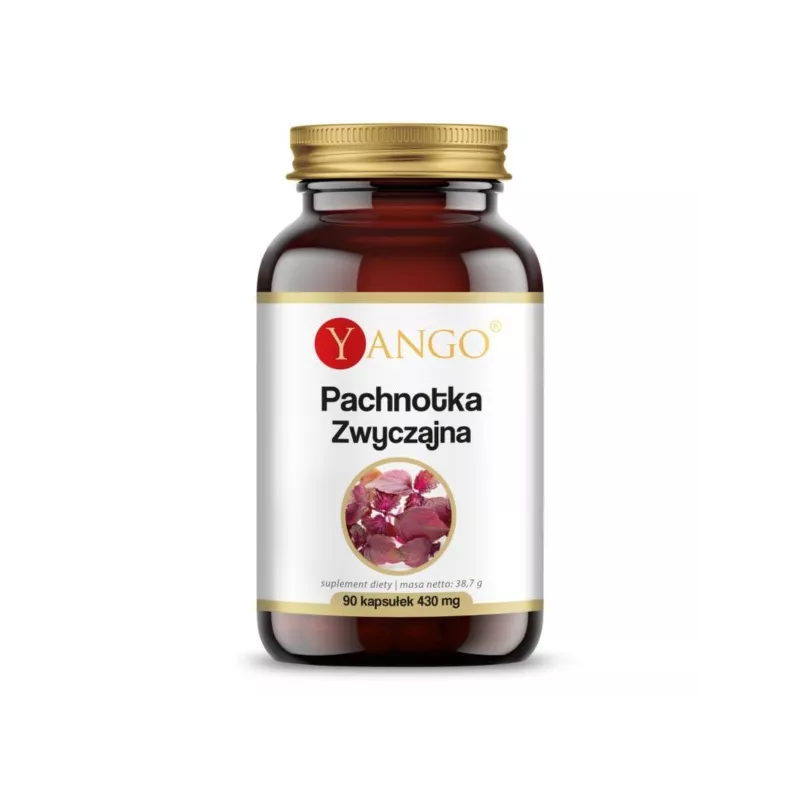 Yango Pachnotka zwyczajna