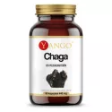Yango Chaga 90 K. Wzmacnia Odporność Organizmu