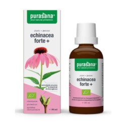 Purasana Echinacea forte jeżówka purpurowa bio 50