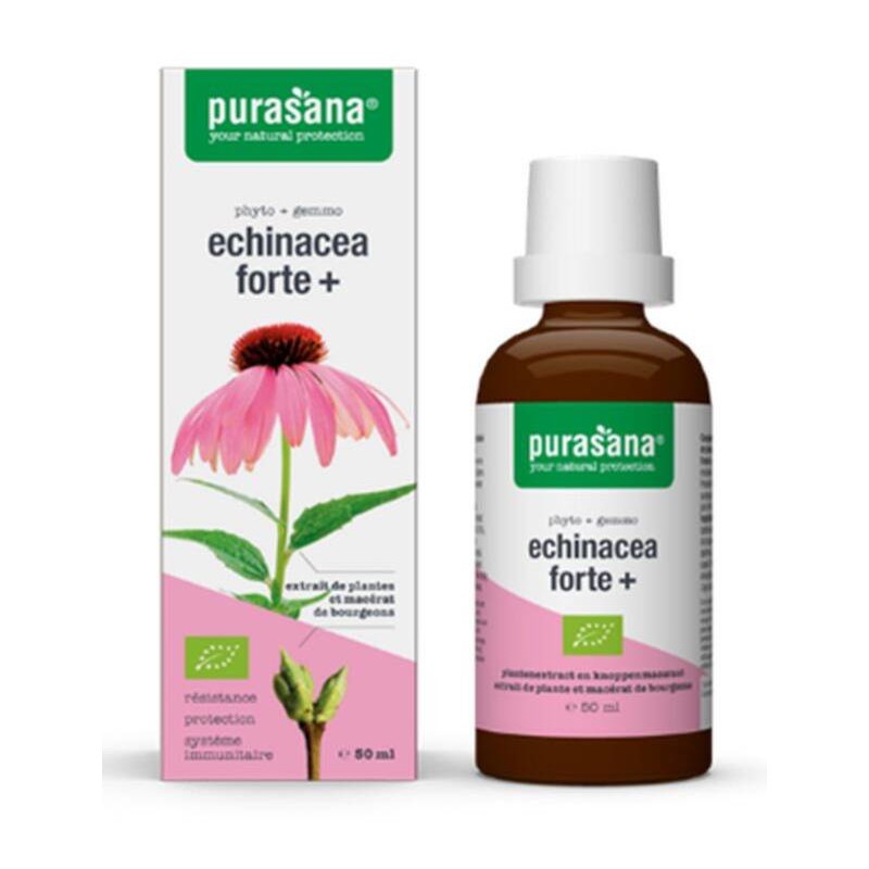 Purasana Echinacea forte jeżówka purpurowa bio 50 Purasana Echinacea forte jeżówka purpurowa bio 50