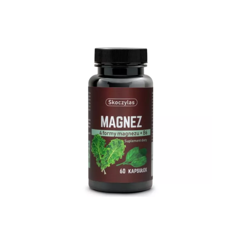 Skoczylas Magnez + B6 szpinak i jarmuż 60 k Skoczylas Magnez + B6 szpinak i jarmuż 60 k