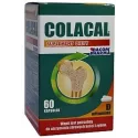 GORVITA COLACAL 60KAP kolagen z wapniem