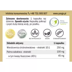 Yango Wierzbownica dla mężczyzn 90 k układ moczowy Yango Wierzbownica dla mężczyzn 90 k układ moczowy