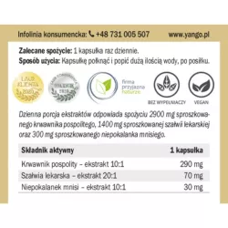 Yango Krwawnik Premium 90 k. Yango Krwawnik Premium 90 k.