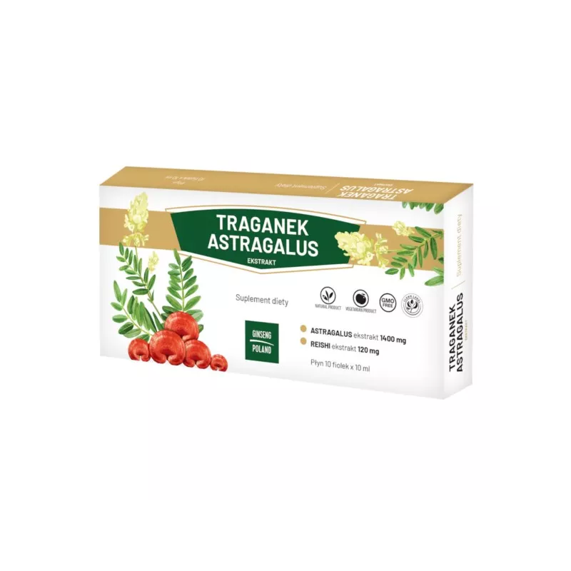 Ginseng Poland Traganek Astragalus 10 X 10 fiolek