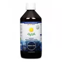 Joy Day EKO Koncentrat Owoce Lasu 500Ml
