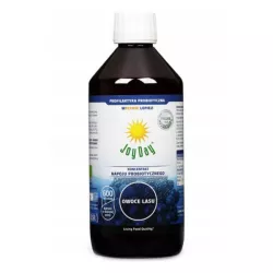 Joy Day EKO Koncentrat Owoce Lasu 500Ml