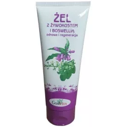 GORVITA ŻEL Z ŻYWOKOSTEM I BOSWELLIĄ 200ML
