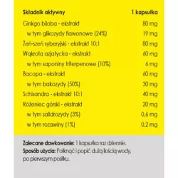 Panaseus Pamięć bez granic 490 mg 50 kap