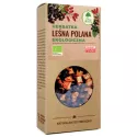 Dary Natury Herbata Leśna Polana Eko 100g