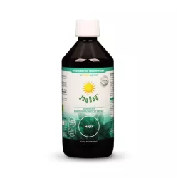 Joy Day EKO Koncentrat Mięta 500Ml