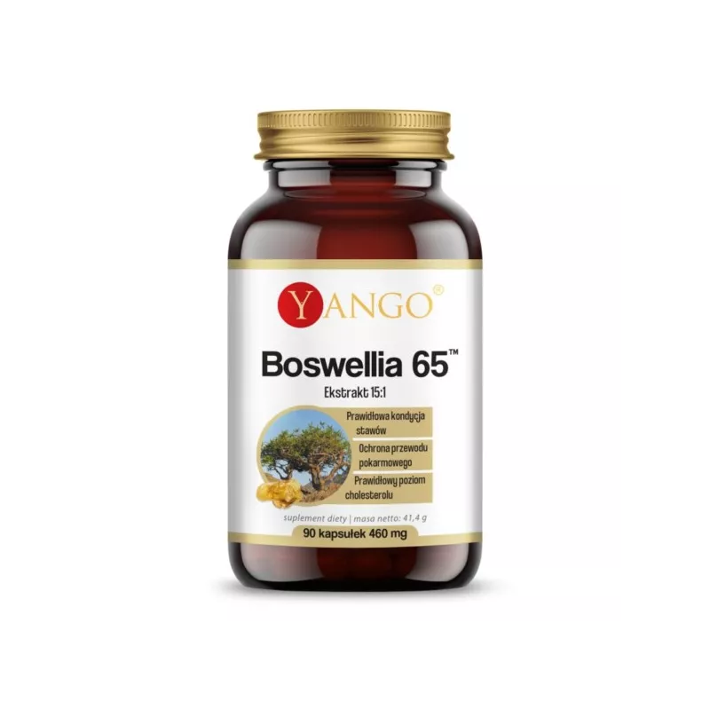Yango Boswellia 65Tm 60 t Kadzidłowiec Yango Boswellia 65Tm 60 t Kadzidłowiec