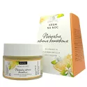 Bioetiq Krem Do Twarzy Noc 50  Ml Odnowa
