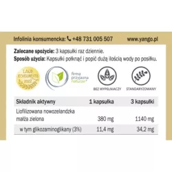 Yango Omułek zielonowargowy 90 k stawy kości Yango Omułek zielonowargowy 90 k stawy kości