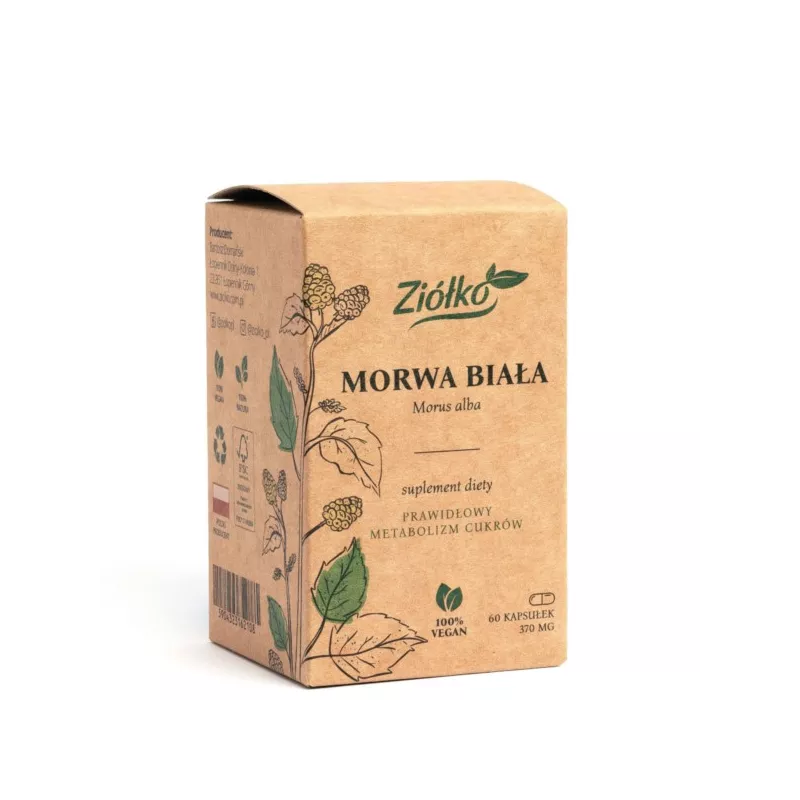Ziółko Morwa Biała 60 k Ziółko Morwa Biała 60 k