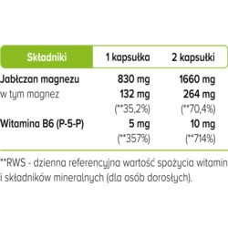 Biowen Jabłczan Magnezu 100 kapsułek Biowen Jabłczan Magnezu 100 kapsułek
