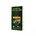 Herbal Time Naturalna Farba 8A ASH Blonde