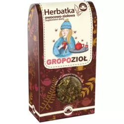 Natura Wita Herbata Ziołowo-Owocowa Na Grypę 80G