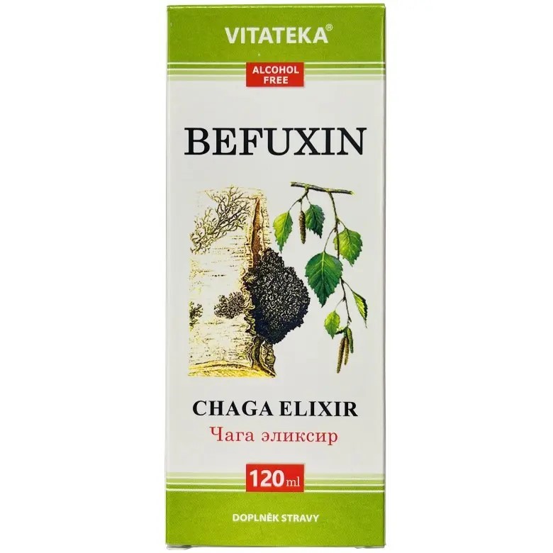 Befungin Czaga Elixir 120 ml bez alkoholu Befungin Czaga Elixir 120 ml bez alkoholu