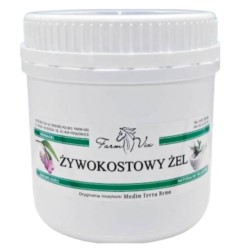Farm-vix Żel Żywokostowy 600 g