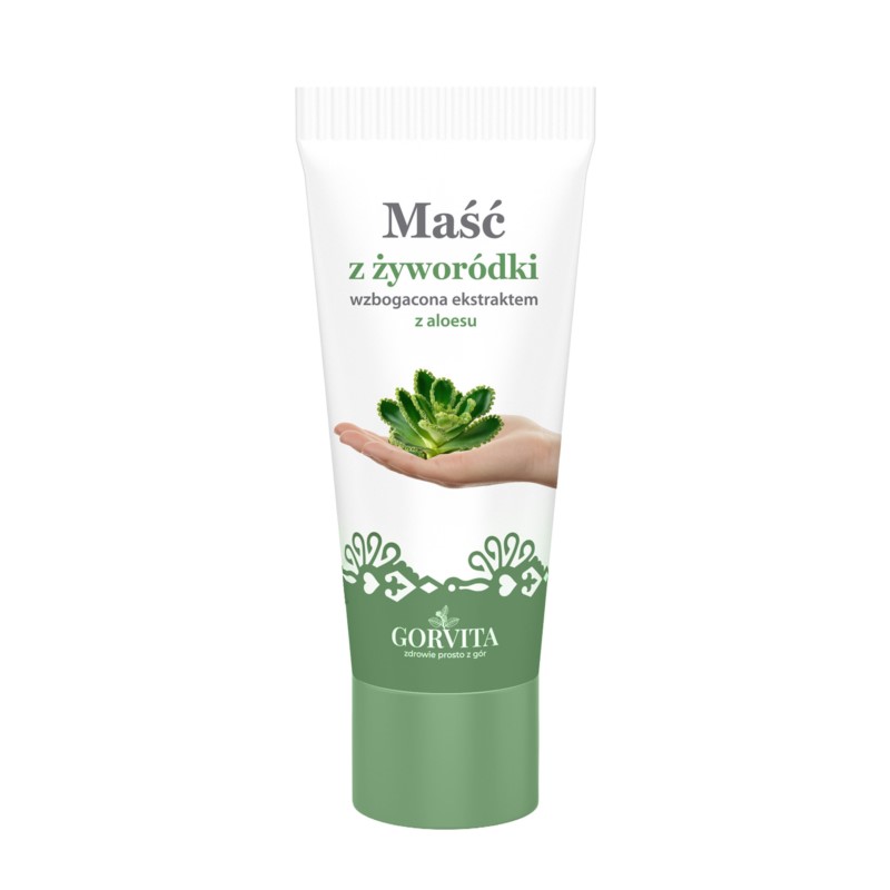 Gorvita Maść Z Żyworódki 130 Ml przeciwzapalnie Gorvita Maść Z Żyworódki 130 Ml przeciwzapalnie