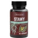 Skoczylas Stawy 60 kap