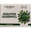Eukaliptus + Chlorofilipt 24 tabletki po 500 mg