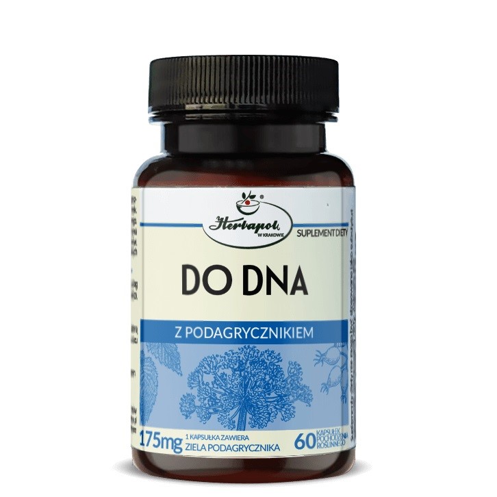 Herbapol Do Dna z podagrycznikiem 60 kap Herbapol Do Dna z podagrycznikiem 60 kap