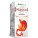 Herbapol Antyzgagocaps 30 k