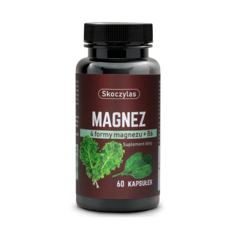 Skoczylas Magnez + B6 szpinak i jarmuż 60 k Skoczylas Magnez + B6 szpinak i jarmuż 60 k