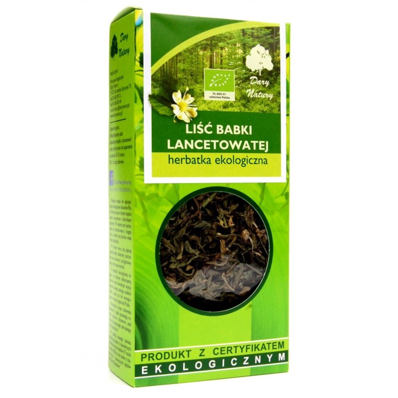Dary Natury Babka Lancetowata Liść 25G Eko Dary Natury Babka Lancetowata Liść 25G Eko