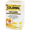 Gorvita Kolagen Z Kwasem Hialuronowym  60 K