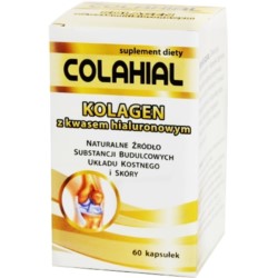 Gorvita Kolagen Z Kwasem Hialuronowym 60 K