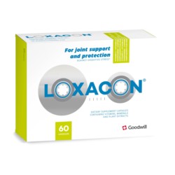 Goodwill Loxacon dla wsparcia stawów 30 k