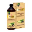 Sattva Sok z owoców gorzkiego melona 1000 ml