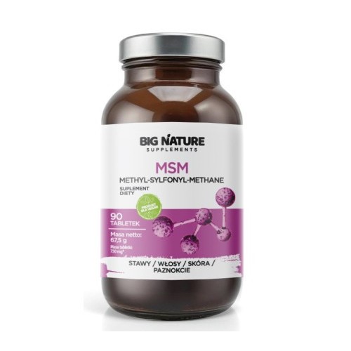Big Nature Tabletki MSM 90 szt.
