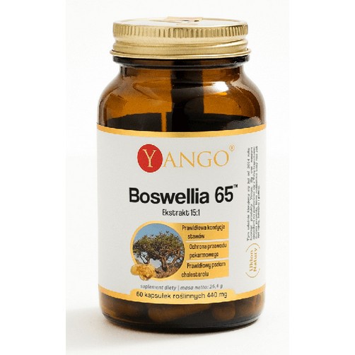 Yango Boswellia 65™ 60 kaps.