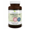 Medverita Karczoch ekstrakt 5% z cynaryny 120 kap