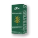 Flos Ashwagandha macerat olejowy 45 ml