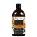Recepty Natury Szampon Rokitnik Żeń-szeń 380 ml