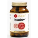 Yango Insuliniv 90 k prawidłowy pozim insuliny