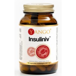 Yango Insuliniv 90 k prawidłowy pozim insuliny